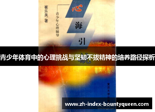 青少年体育中的心理挑战与坚韧不拔精神的培养路径探析
