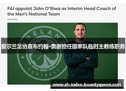 爱尔兰足协宣布约翰·奥谢担任国家队临时主教练职务