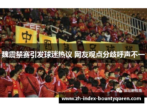 魏震禁赛引发球迷热议 网友观点分歧呼声不一